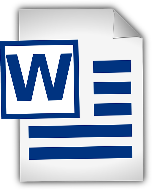 MS WORD FILE